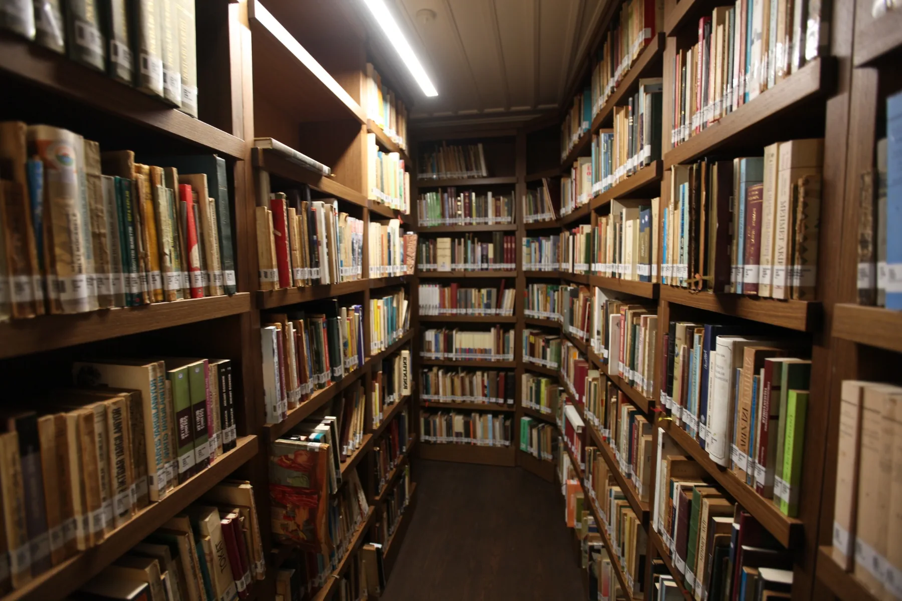 Yedi İklim Kütüphanesi kitap arşivi ve özel imalat raflar